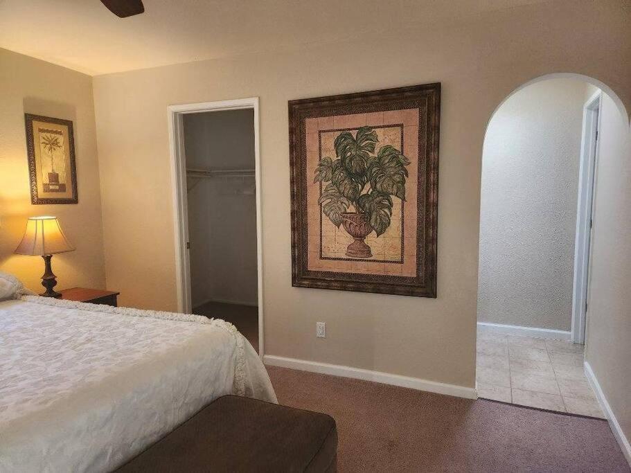 Southwestern Charm - Minutes From Everything 3/2 Sierra Vista Exterior photo